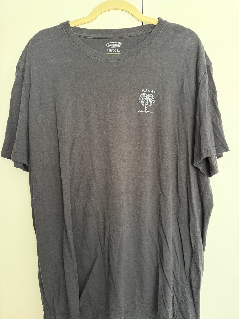 Cariloha Kauai Palm Tree Graphic T-Shirt Women’s Black Bamboo Blend XXL